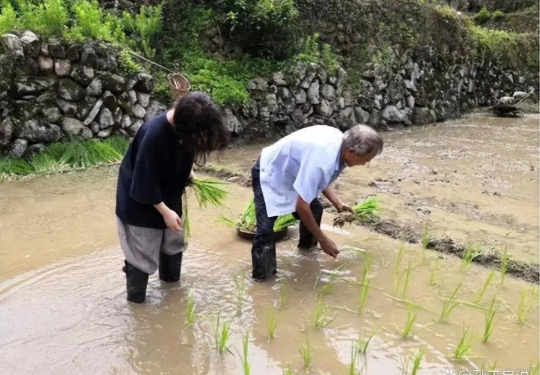 95后女孩休学后进山当农民,如何看待这种人生选择呢?