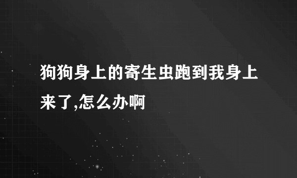 狗狗身上的寄生虫跑到我身上来了,怎么办啊