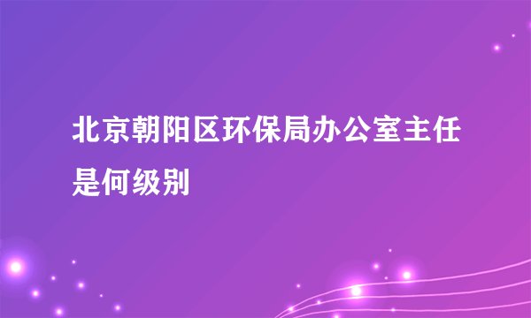 北京朝阳区环保局办公室主任是何级别