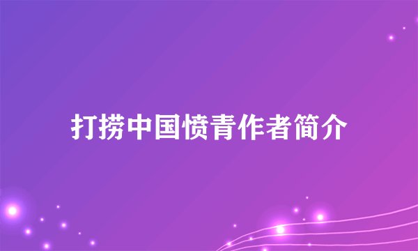 打捞中国愤青作者简介