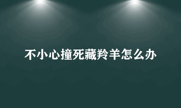 不小心撞死藏羚羊怎么办