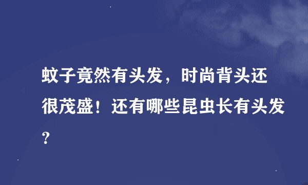 蚊子竟然有头发,时尚背头还很茂盛!还有哪些昆虫长有头发?
