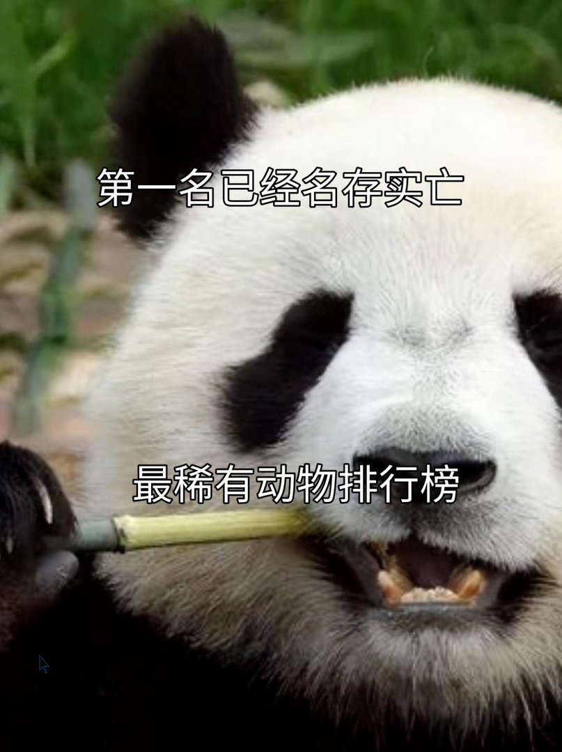 第一名已经名存实亡，最稀有动物排行榜