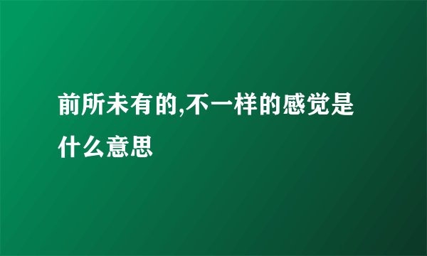 前所未有的,不一样的感觉是什么意思