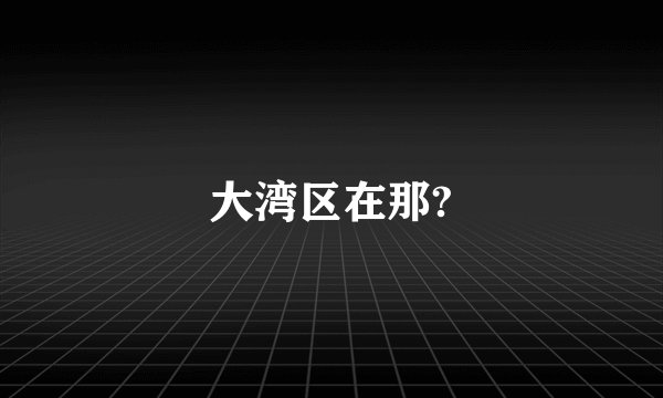 大湾区在那?