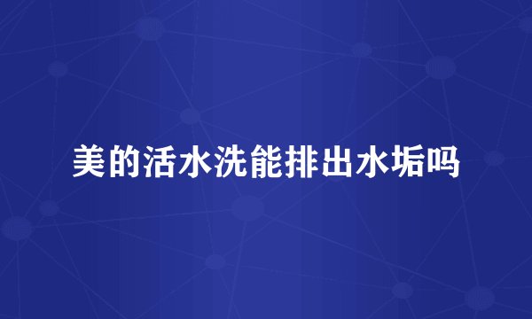 美的活水洗能排出水垢吗