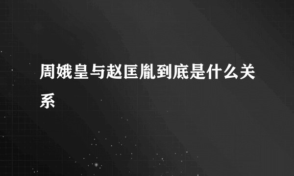 周娥皇与赵匡胤到底是什么关系
