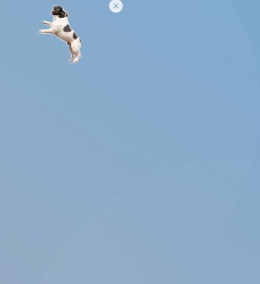 微信状态怎么养宠物