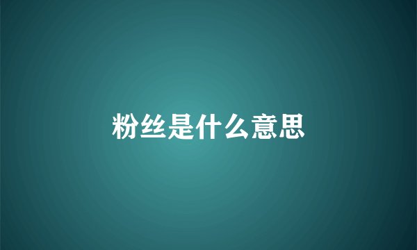 粉丝是什么意思