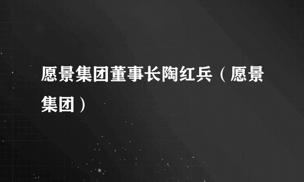 愿景集团董事长陶红兵（愿景集团）