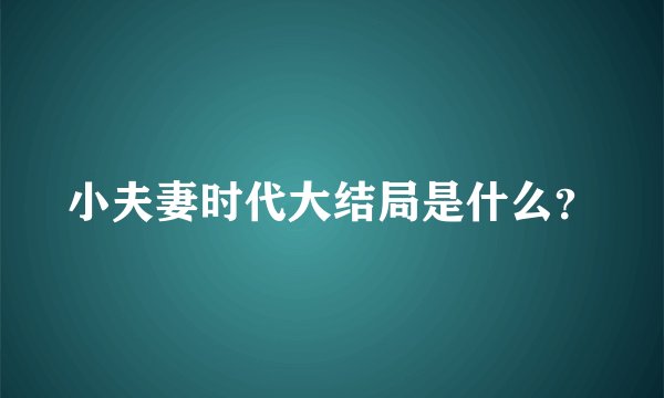 小夫妻时代大结局是什么?