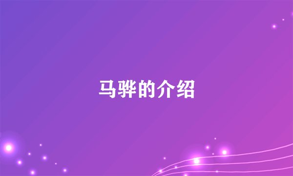 马骅的介绍