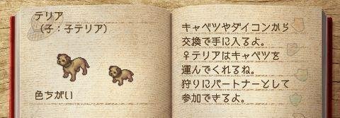 《欢迎来到绵羊村》神兽养成计划(二)