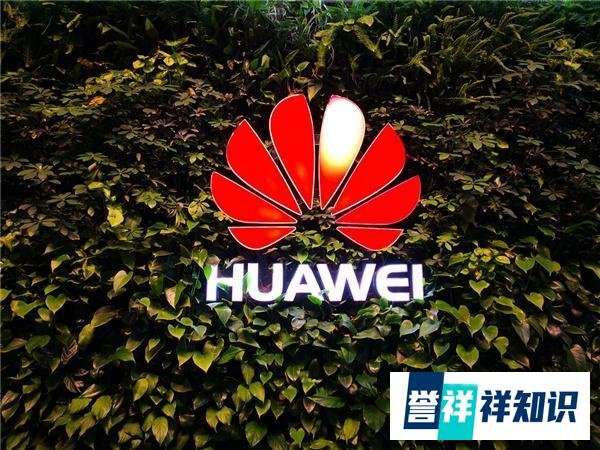 华为公司开除5名“害群之马”后，华为员工：动摇军心，令人不齿