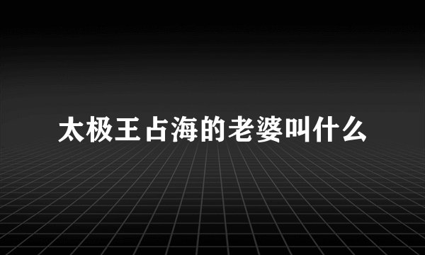 太极王占海的老婆叫什么