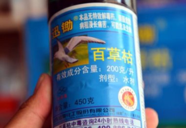 邢台中毒女孩家属称“嫌犯所述动机是编的”，此事背后的真相到底是什么