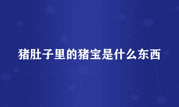 猪肚子里的猪宝是什么东西