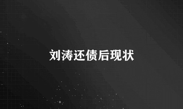 刘涛还债后现状