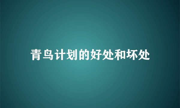 青鸟计划的好处和坏处