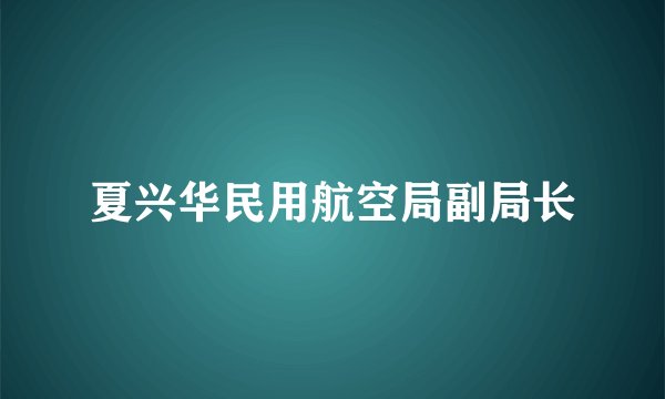 夏兴华民用航空局副局长