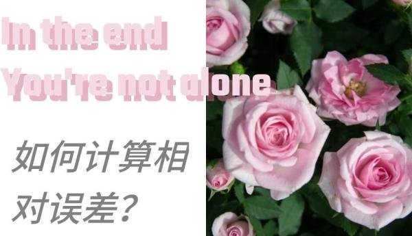 如何计算相对误差?