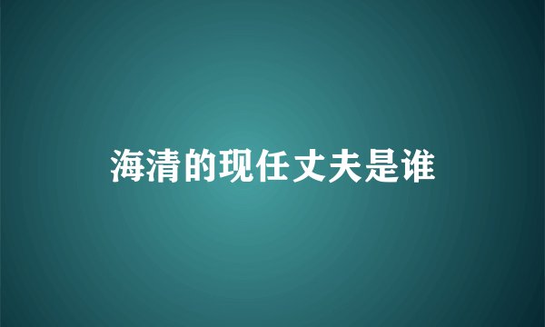 海清的现任丈夫是谁