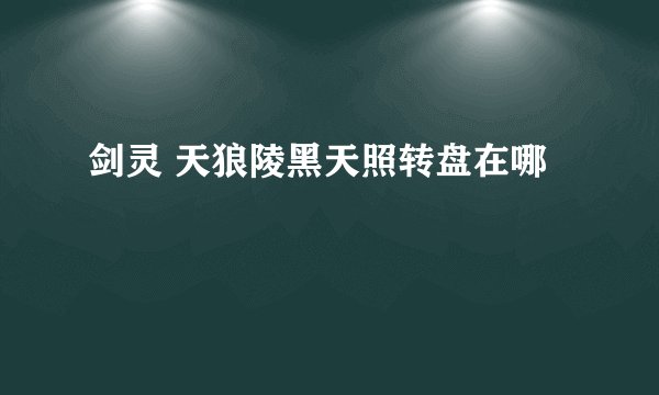 剑灵 天狼陵黑天照转盘在哪
