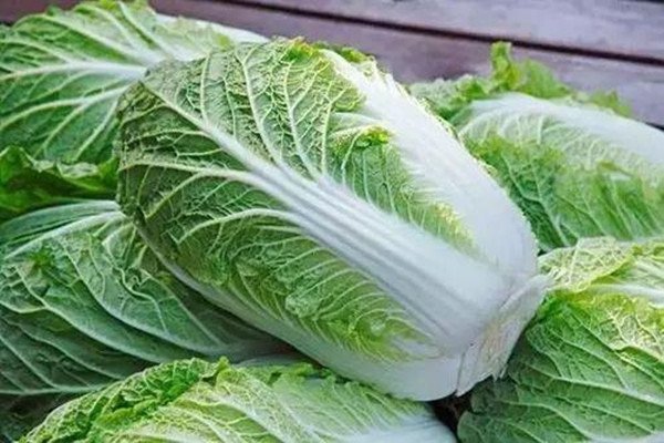东北大娘雇车囤300斤白菜,囤这么多白菜怎么吃?