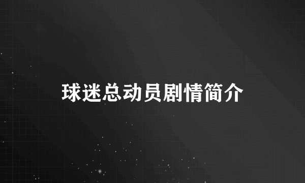 球迷总动员剧情简介