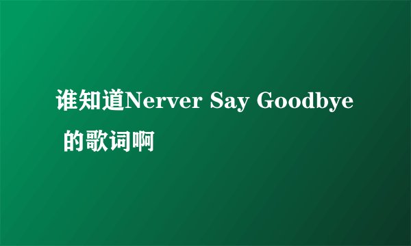 谁知道Nerver Say Goodbye 的歌词啊