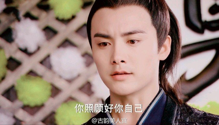 晋磊的人物经历