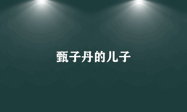 甄子丹的儿子