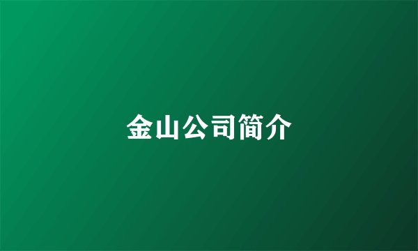 金山公司简介
