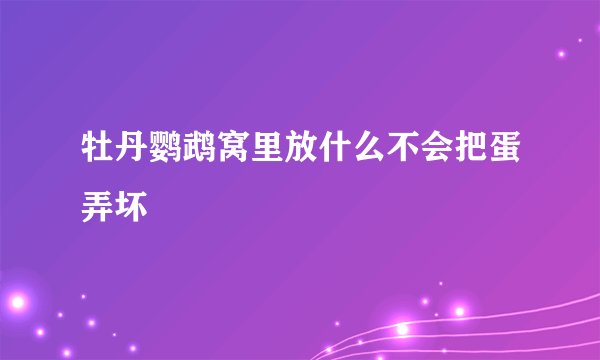 牡丹鹦鹉窝里放什么不会把蛋弄坏