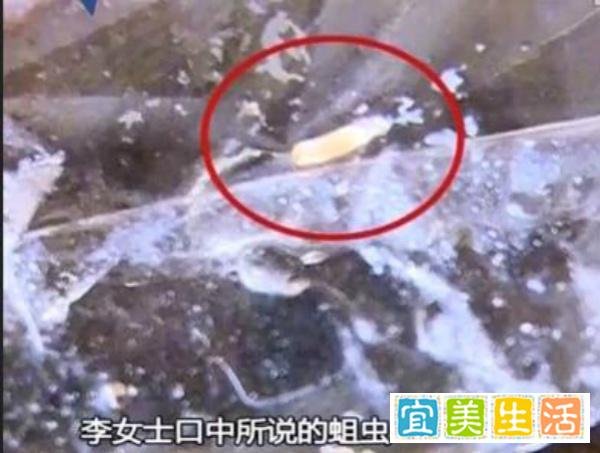 月子中心一个月两万,你好意思让我坐月子的时候吃蛆?