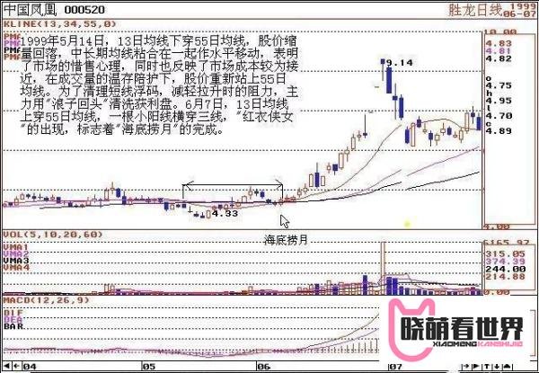 很少有散户知道的这招“135战法”，它可以帮你捕捉强势黑马股