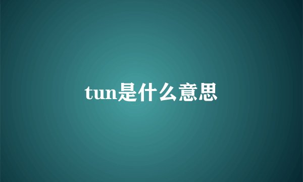 tun是什么意思