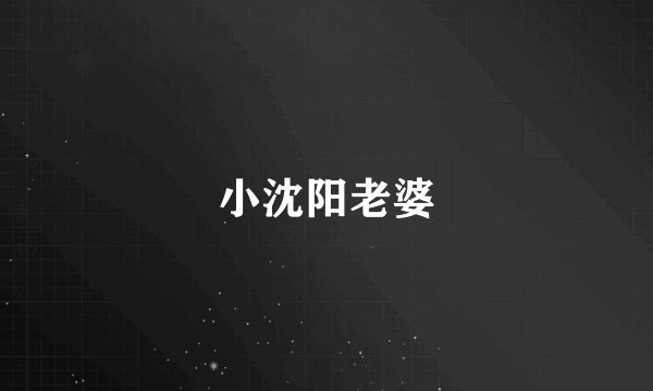 小沈阳老婆