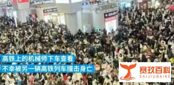 野猪侵入高铁线路引发悲剧:D5515次列车机械师不幸身亡
