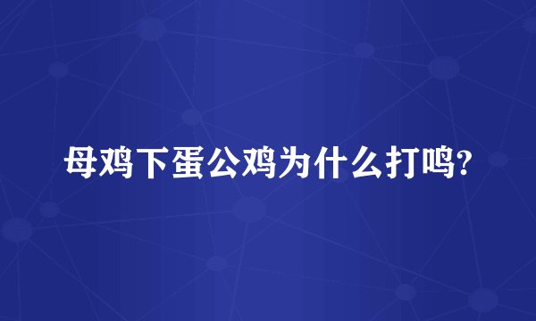 母鸡下蛋公鸡为什么打鸣?