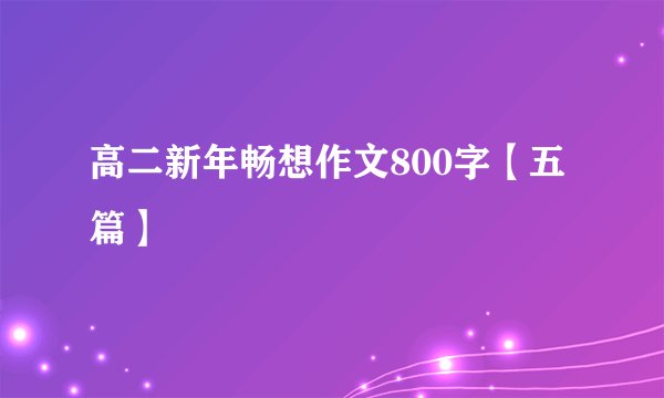 高二新年畅想作文800字【五篇】