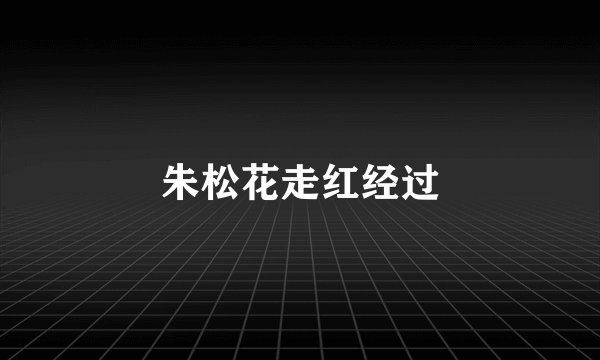 朱松花走红经过