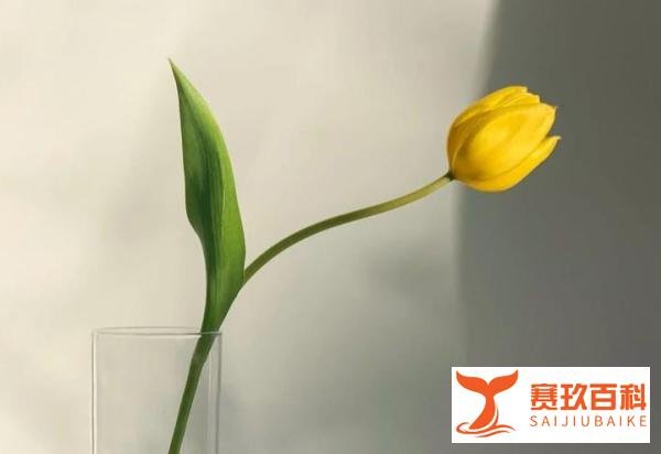 《爱情只是古老传说》:戴着面具的婚姻,终归是不能善终