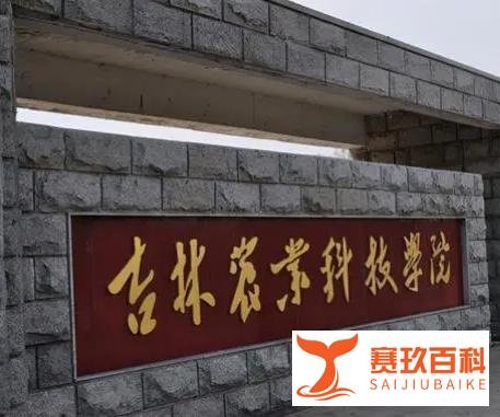 两日新增总数超3000例，聚集性传播成吉林疫情最大原因！