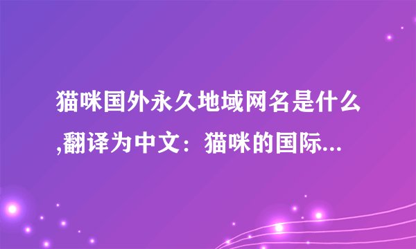 猫咪国外永久地域网名是什么,翻译为中文：猫咪的国际域名是什么？猫咪的国际域名是什么？