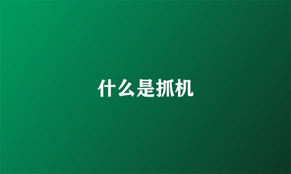 什么是抓机