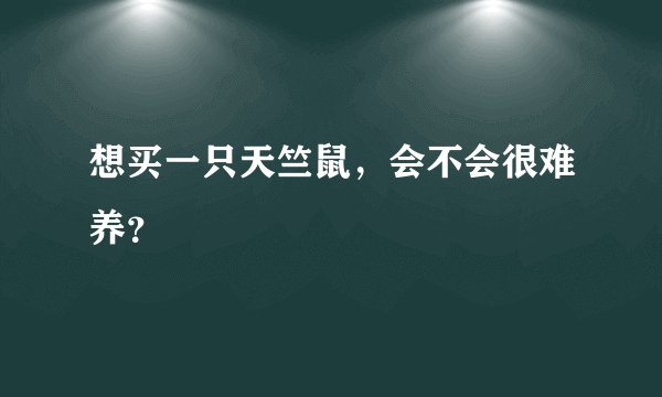 想买一只天竺鼠,会不会很难养?