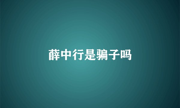 薛中行是骗子吗