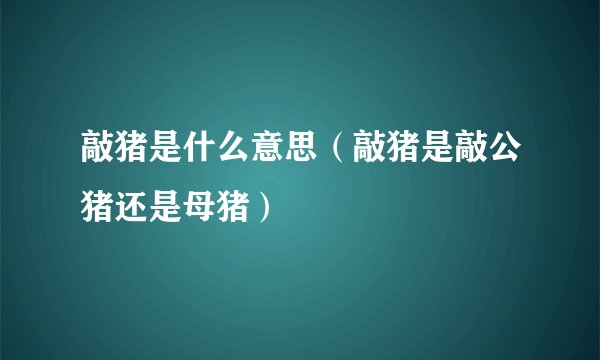 敲猪是什么意思（敲猪是敲公猪还是母猪）