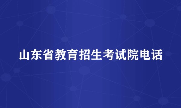 山东省教育招生考试院电话